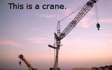 Crane